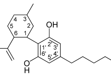 Czym są kannabinoidy?